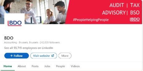 Marketing Strategy of BDO Global - LinkedIn