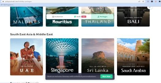 Marketing Strategy of Pickyourtrail - E-com 1