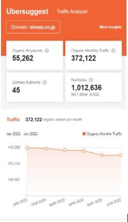 Maketing Strategy of SEO