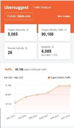  Marketing strategy of Bijnis - SEO