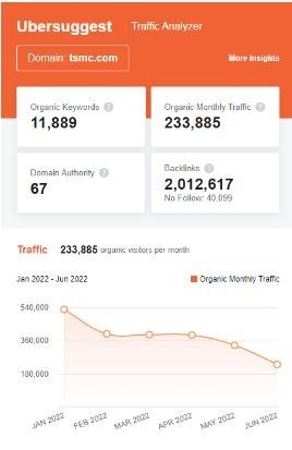 Marketing Strategy of TSMC - SEO