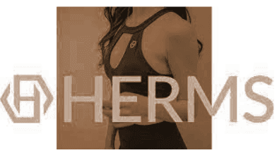 Marketing Strategy of HERMS