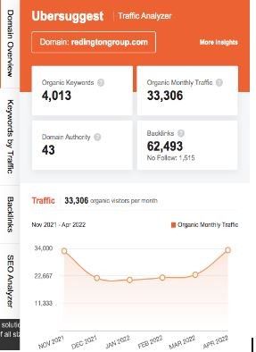 Marketing Strategy of Redington IndiaMarketing Strategy of Redington India - SEO