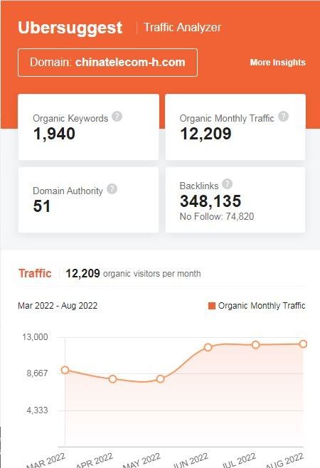 Marketing Strategy of China Telecom - SEO