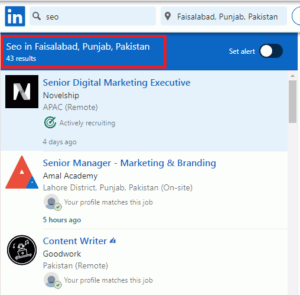 SEO Courses in Faisalabad- Job Statistics