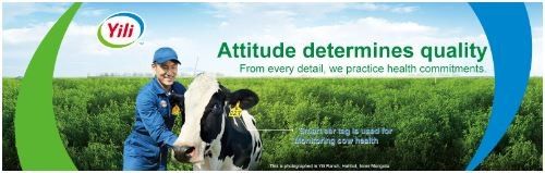 Marketing Strategy of Yili