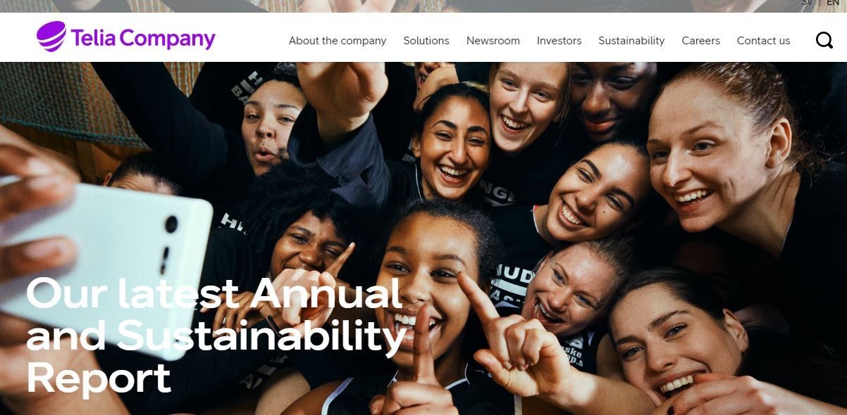 Marketing Strategy of Telia - ecom