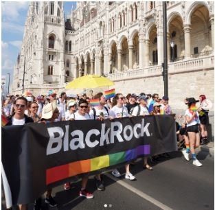 Marketing Strategy Of Blackrock - Campaign 1