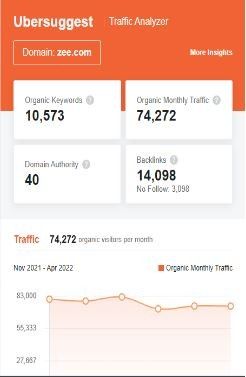Marketing Strategy of Zee Entertainment Enterprises - SEO