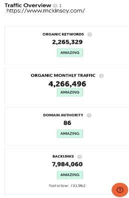 Marketing Strategy Of Mckinsey - SEO