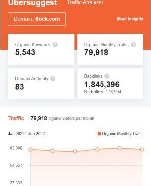 Marketing Strategy of Flock - SEO