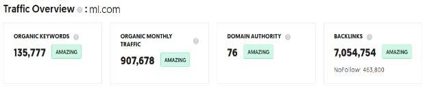 Marketing Strategy Of Merrill - SEO