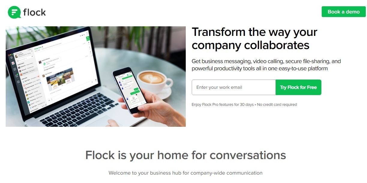 Marketing Strategy of Flock - Ecom