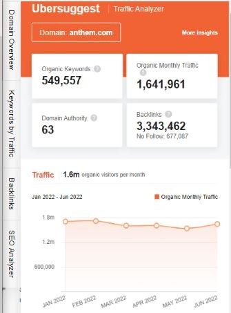 Marketing Strategy Of Anthem - SEO