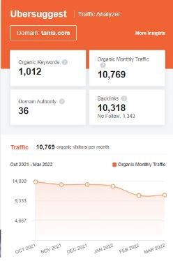 Marketing Strategy of Tanla Platforms - SEO