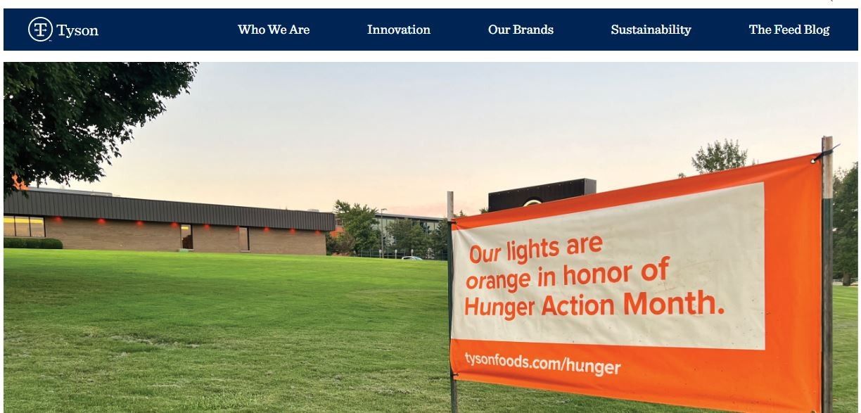 Marketing Strategy Of Tyson - Ecom