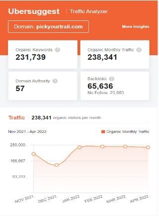 Marketing Strategy of Pickyourtrail - SEO