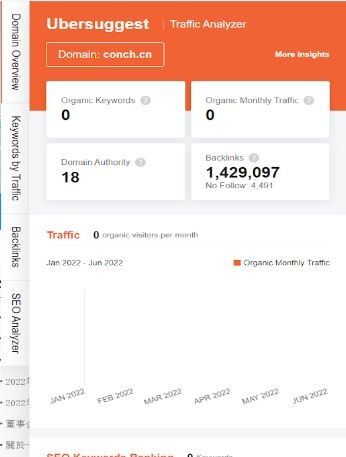 Marketing Strategy of Conch - SEO