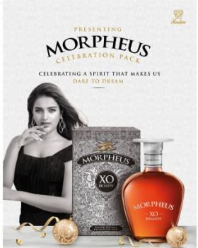 Marketing Strategy for Radico Khaitan - Campaign 1