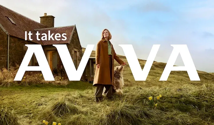 Marketing Strategy of Aviva - Marketing campaign