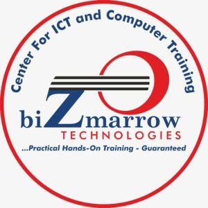 SEO COURSES IN MAIDUGURI- BIZMARROW LOGO