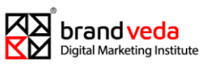 Digital Marketing Courses in Hisar - Brandveda logo