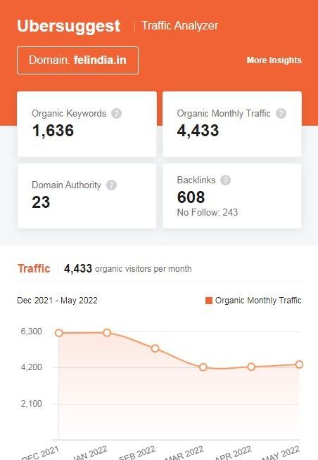 Marketing Strategy Of Future Enterprises - SEO