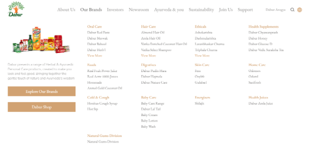 Marketing Strategy of Dabur - Dabur website with the list of all its products