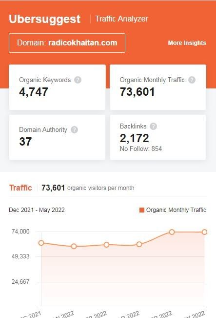 Marketing Strategy for Radico Khaitan - SEO