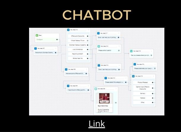 Colorbar's Marketing Startegy - 7