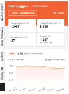 Marketing Strategy of Jumbotail - SEO