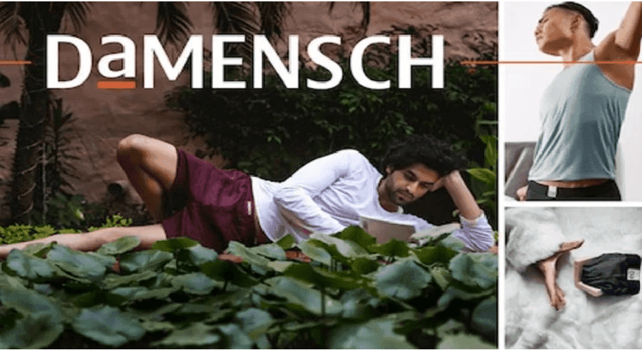 marketing strategy of damensch