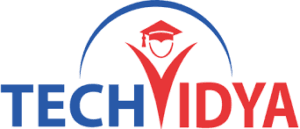 data science courses in noida - techvidya logo