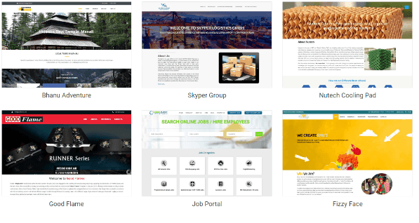Digital Marketing Agencies in Faridabad - Dizi Solutions Clients