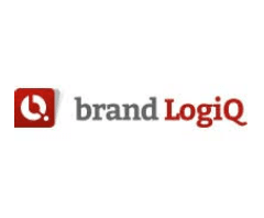 Digital Marketing Agencies in Lalitpur - Brand LogiQ logo