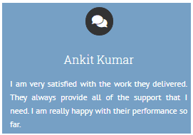 Digital Marketing Agencies in Meerut - Promotion Paradise Client Review