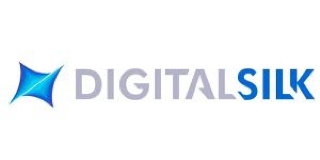 Digital Silk logo profile
