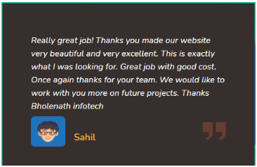 Digital Marketing Companies in Punjab - Bholenath Infotech Client Review