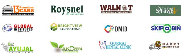 Digital Marketing Companies in Punjab - Duggal Infotech Clients