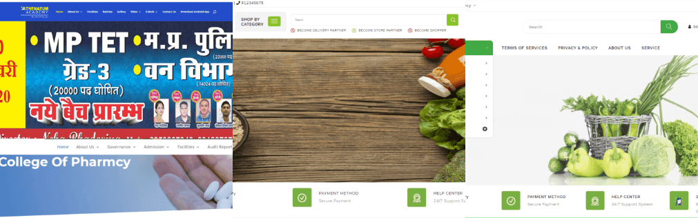 Digital Marketing Companies in Gwalior - First Techies Clients