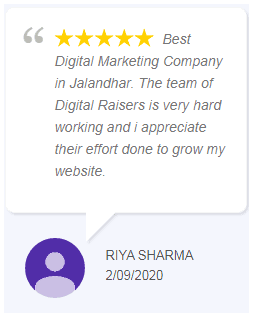 Digital Marketing Companies in Punjab - Digital Raisers Client Review
