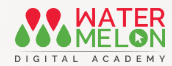 Digital marketing courses in Guruvayur - Watermelon Digital Academy logo