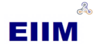 Edusolutions Institute of Internet Marketing Logo