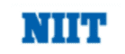 digital marketing courses in bali - niit logo