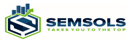 digital marketing courses in BIHAR SHARIF - Semsols Technologies Pvt Ltd logo