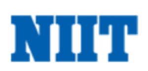 digital marketing courses in BINTULU - NIIT logo