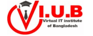 digital marketing courses in COX'S BAZAR - VIUB logo