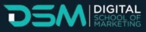 digital marketing courses in DIEPSLOOT - DSM logo