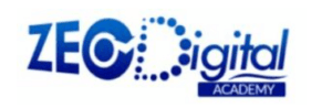 digital marketing courses in EJIGBO - Zeo digital logo