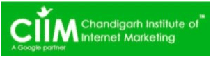 Digital Marketing Courses in Hoshiarpur - CIIM Logo